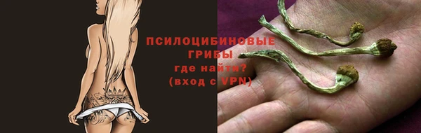 гашиш Беломорск