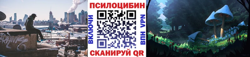 сколько стоит  Бородино  Псилоцибиновые грибы GOLDEN TEACHER 